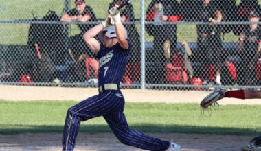 Cougars bested by Falcons 12-2 | Content