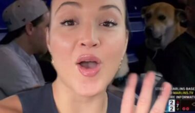 Did you see this video? 🐕 The clip caught the Marlins' attention, leading them to take action.⁠
⁠
On Tuesday afternoon, Miami made a post on X looking to reward the dog that was forced to watch its fur-enemy enjoy the ballpark food.⁠
⁠
#marlins #marlinsdog #findthedog
