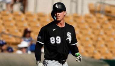 White Sox Minor League Update: June 23, 2026