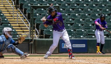 Twins Prospect Hot Sheet: Three Under-the-Radar Prospects You Should Know - Minor Leagues