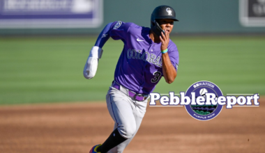 Colorado Rockies prospects: Wilder Dalis is out to prove himself in 2026
