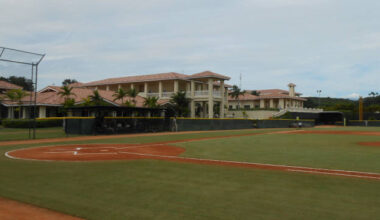 Padres Down on the Farm: June 8 (DSL Gold score 18 in win)