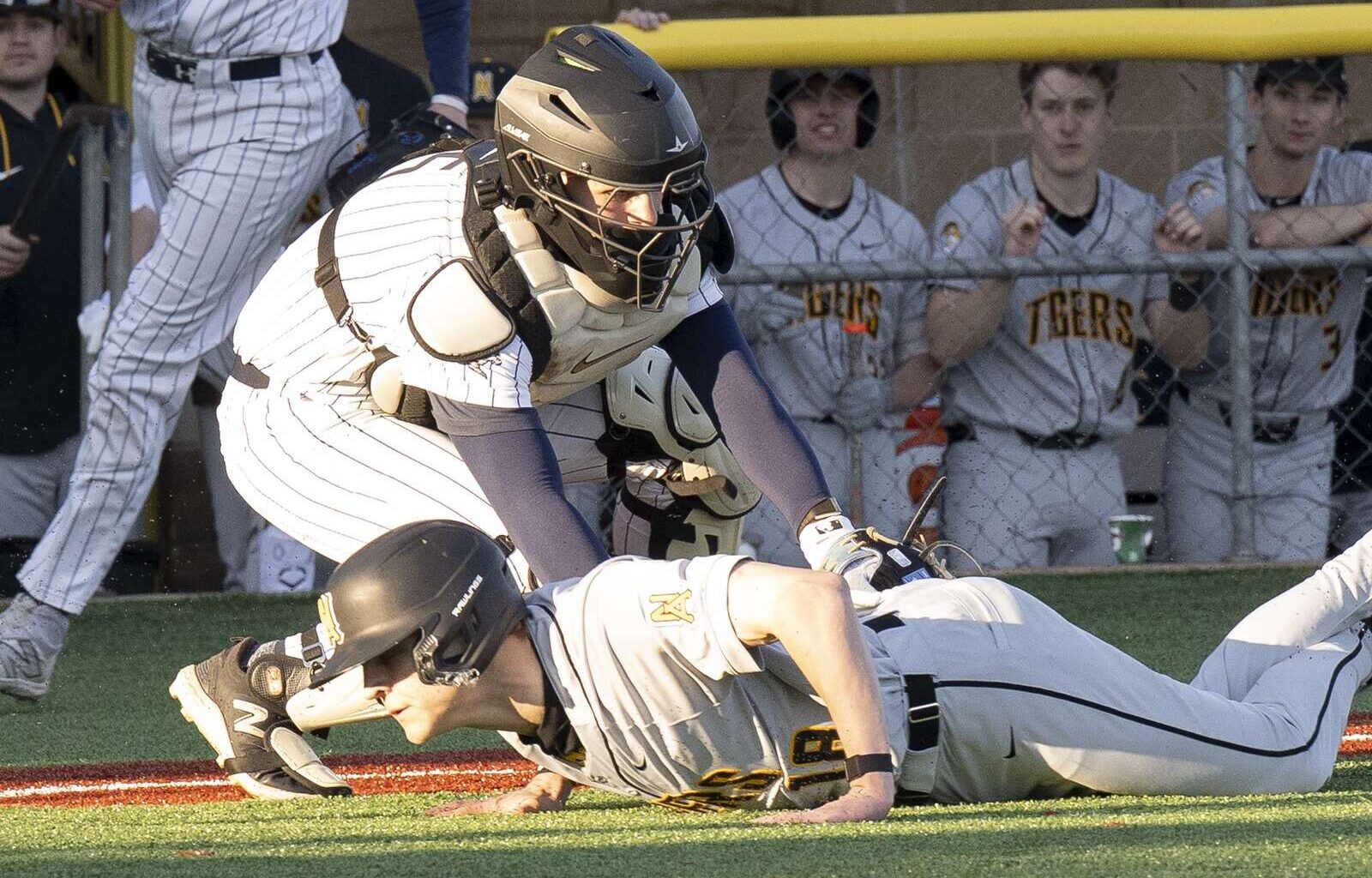 PIAA baseball playoffs 2026: Butler vs Chambersburg 6A quarterfinal top players, key to the game – Butler Eagle