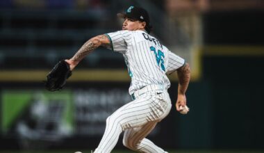 White Sox Minor League Update: June 3, 2026