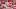 Philadelphia Phillies starting pitcher Alan Rangel Philadelphia Phillies starting pitcher Alan Rangel
