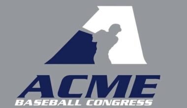 Jr. ACME baseball: State semifinals set | Push
