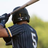 Prospect League Baseball: Late rally lifts Bees to fourth straight victory | The Hawk Eye - Burlington, Iowa