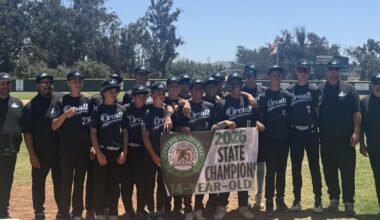 Local little league teams advance in summer tournaments | Youth Sports
