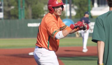 Copperheads continue rough road performances with 14-4 run-rule defeat | Local Sports