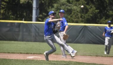 Jr. ACME baseball: Defiance falls to Perrysburg in state semis | Push