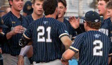 Prospect League Baseball: Bees run roughshod over Lucky Horseshoes | The Hawk Eye - Burlington, Iowa