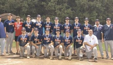 Astro Falcons 15U team captures Youngstown Class B Little League regular season, postseason title | Sports