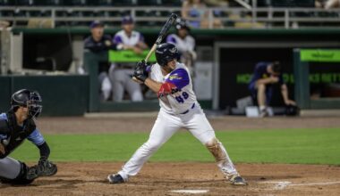 Minnesota Twins Minor League Hitters of the Month: June 2026 - Minor Leagues
