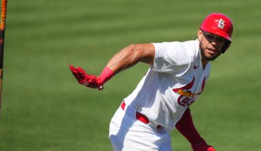 St. Louis Cardinals 1st half minor league update - position players
