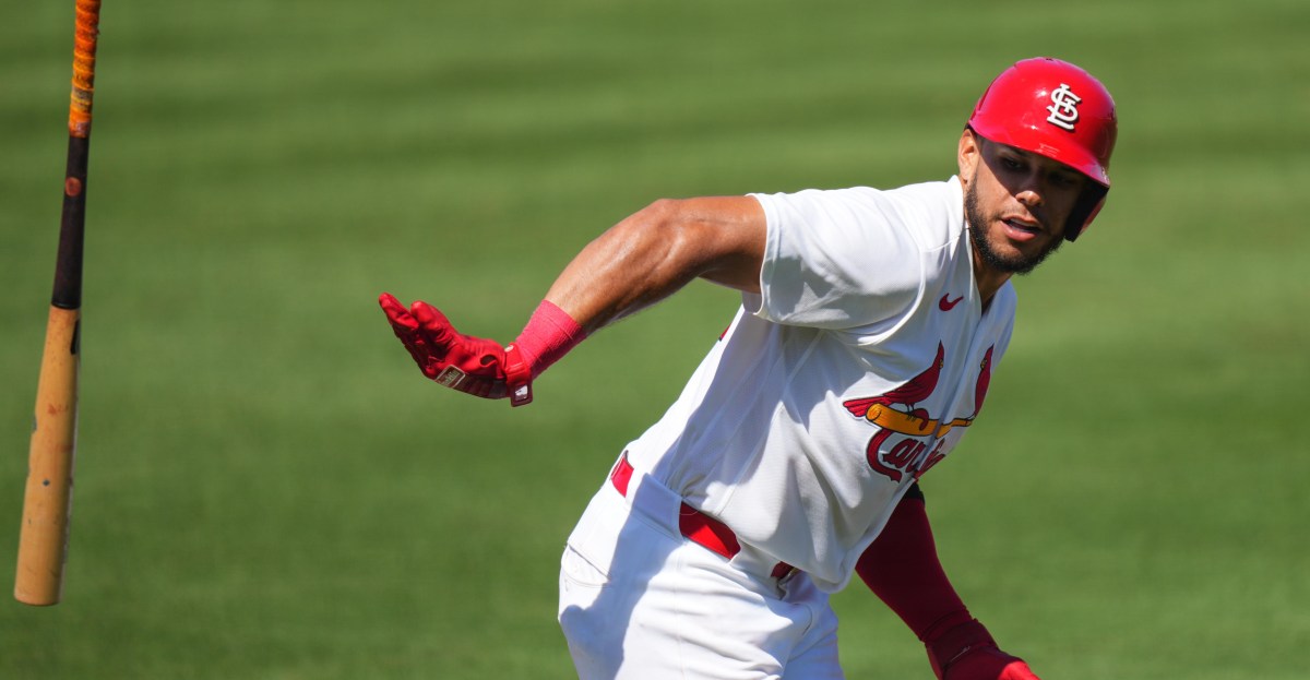 St. Louis Cardinals 1st half minor league update - position players