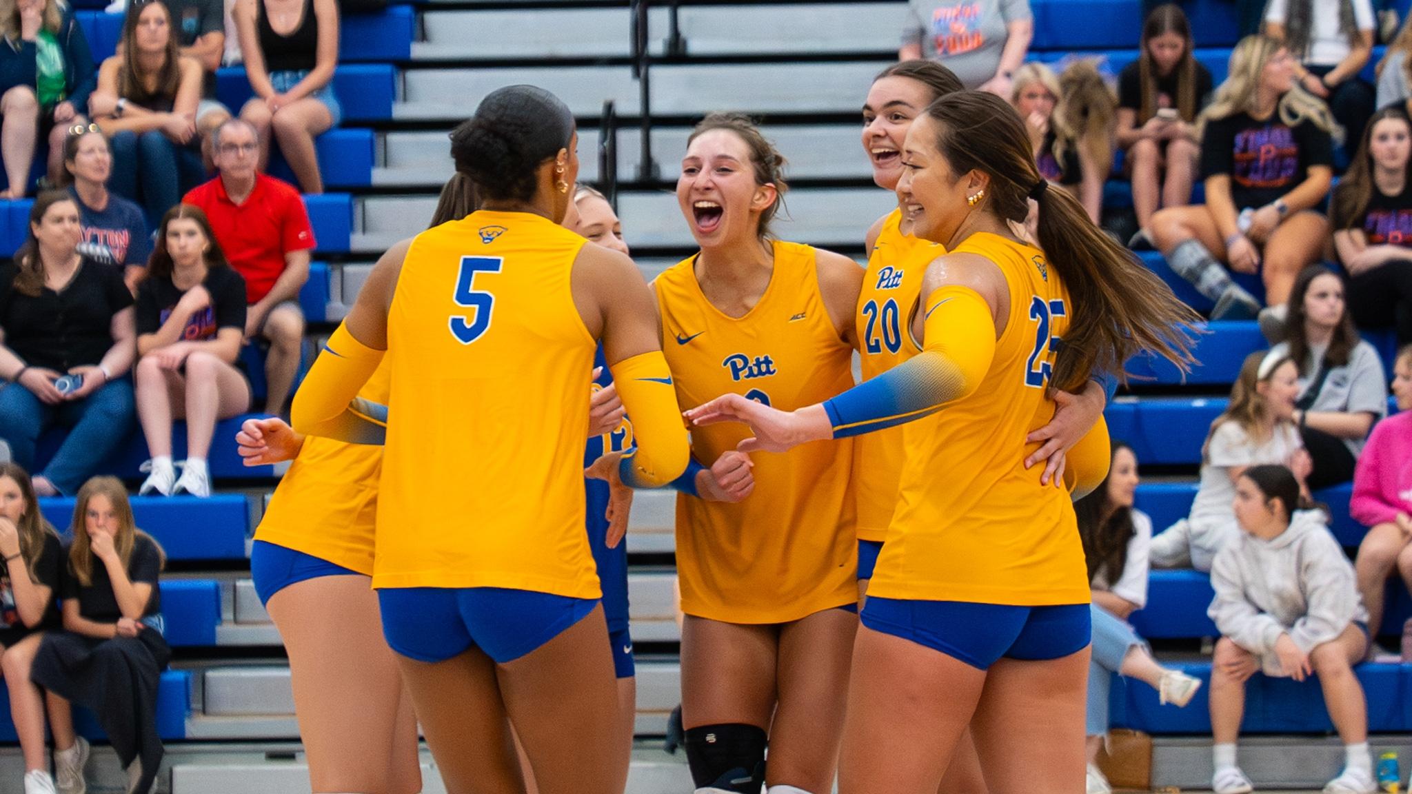 Pitt volleyball celebrates after a point