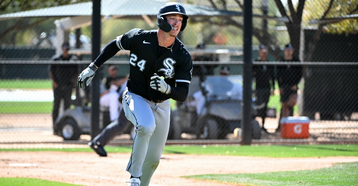 White Sox Minor League Update: July 31, 2026