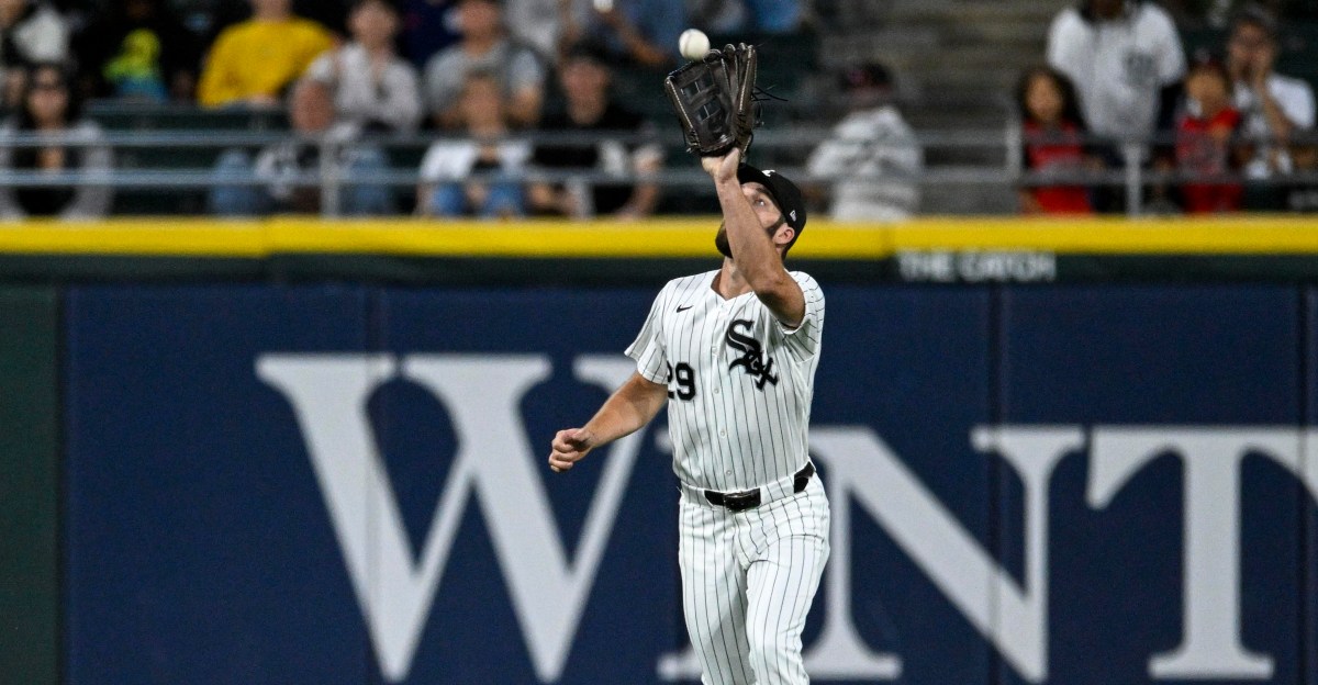 Is the White Sox D … a D?