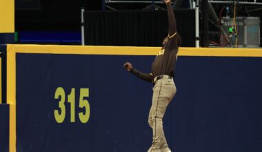 Padres lose to Rays in brutal fashion after drop of would-be game-winning out over the wall for home run