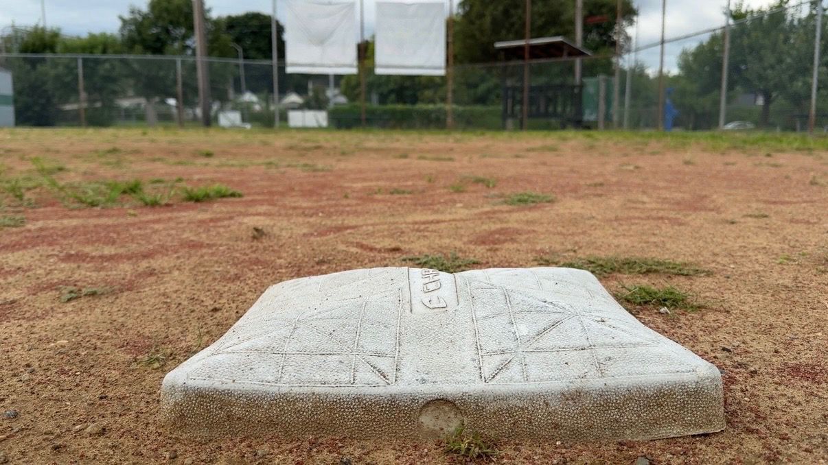 Louisville youth baseball league gets help to revamp fields