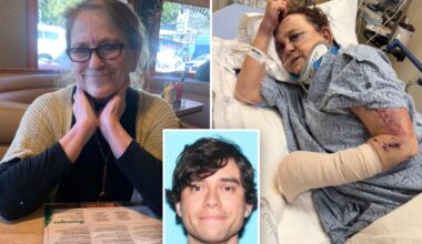 Grandmother nearly beaten to death with baseball bat by man she brought into her home