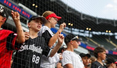 Column: This lifelong Cubs fan from the South Side is seeing a lot of Sox love