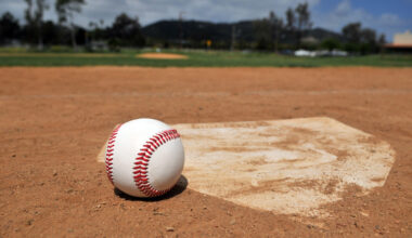 Madison Park Neighbors Oppose Plan To Replace Park With Baseball Fields