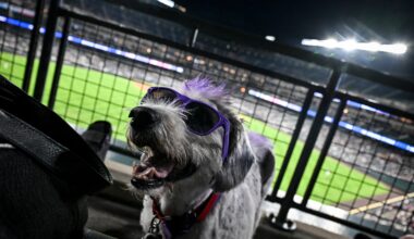 PHOTOS: Dogs take over Coors Field for Bark at the Park