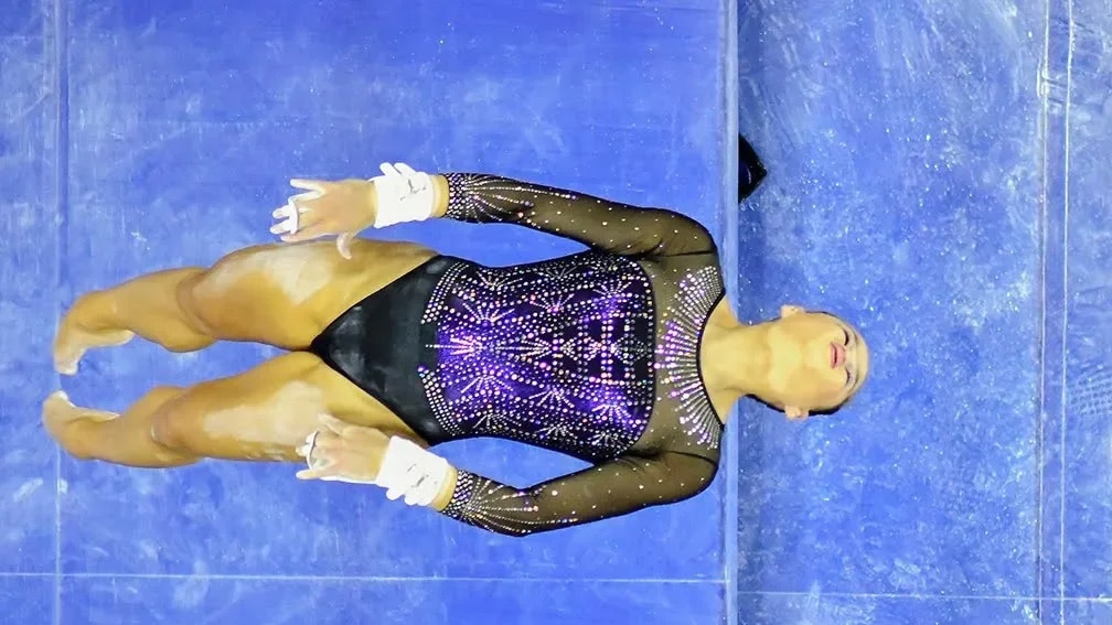 Sarah Finnegan - Bars title, performance at 2019 NCAA championship