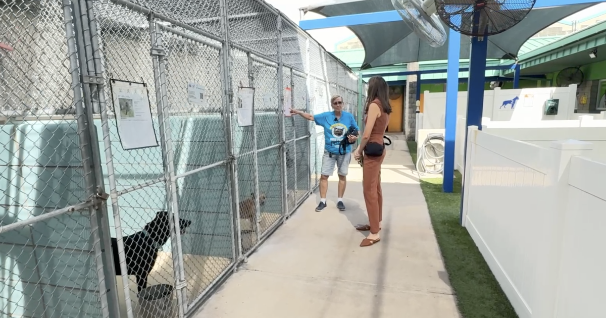 Thousands sign petition pushing for new Pet Resource Center