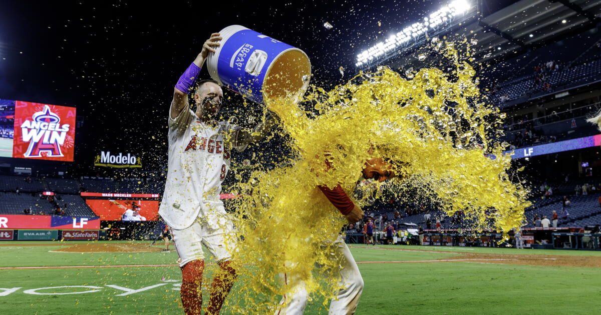 Wade Meckler lifts Angels to walk-off win over Twins