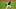 Chicago White Sox pitcher Sean Newcomb Chicago White Sox pitcher Sean Newcomb