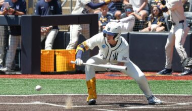 Baseball showcases talent in all facets during Blue vs. Gold game | WVU Baseball
