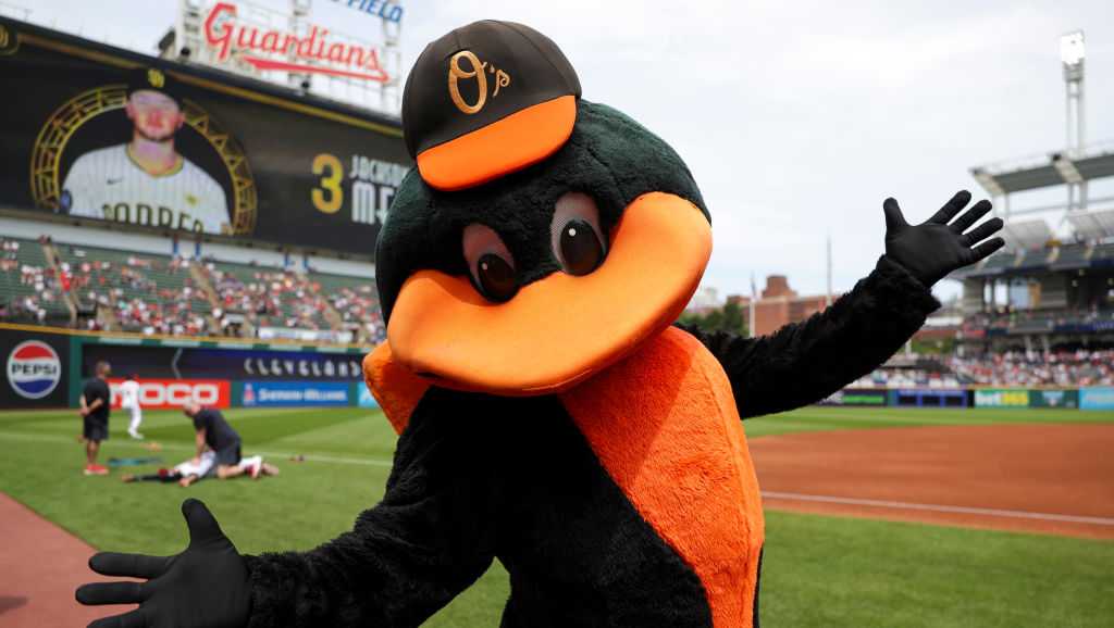 Orioles lay off staff, including Mr. Splash and Oriole Bird