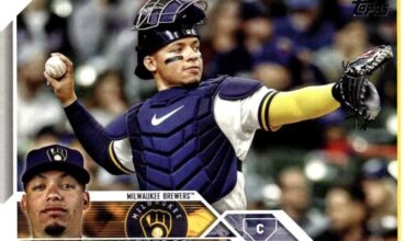 What You Need To Know About William Contreras, Milwaukee's World Series Standout