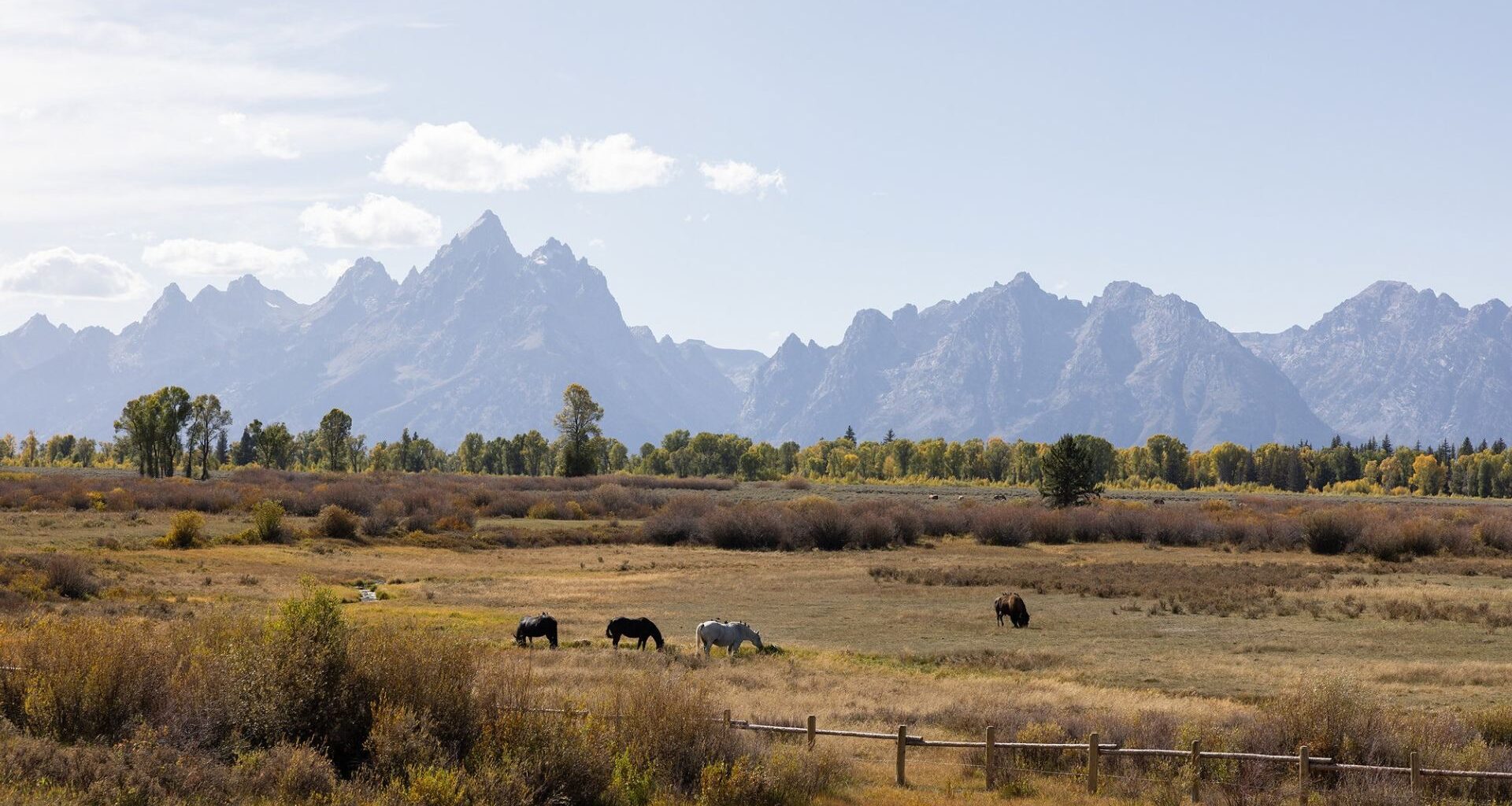 MLB responds to local letter: Grand Teton no longer potential game site