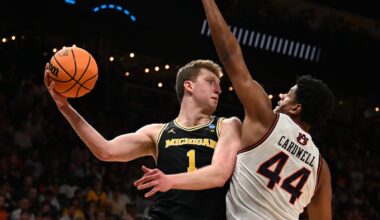 Michigan Wolverines big man Danny Wolf declares for NBA Draft