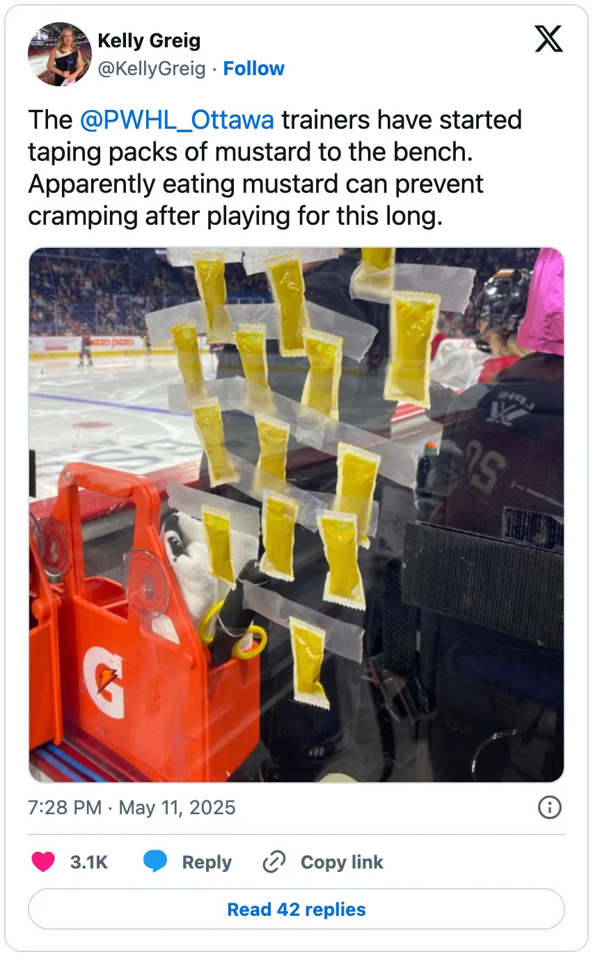 Ottawa's bench during Sunday's PWHL playoff game. (X)
