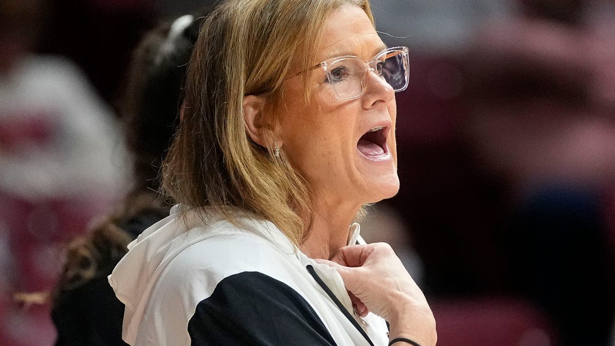 Wisconsin women's basketball gets Stony Brook transfer Breauna Ware