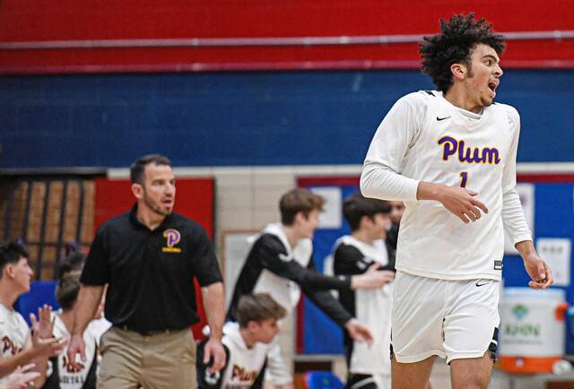 8484017_web1_vnd-FCplum10-120724 8484017_web1_vnd-FCplum10-120724