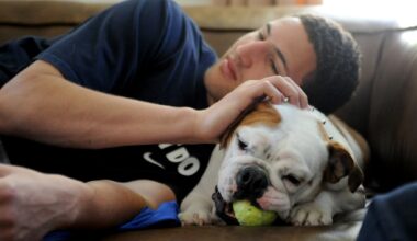 Rocco, former Warriors guard Klay Thompson's beloved bulldog, dies - The Mercury News