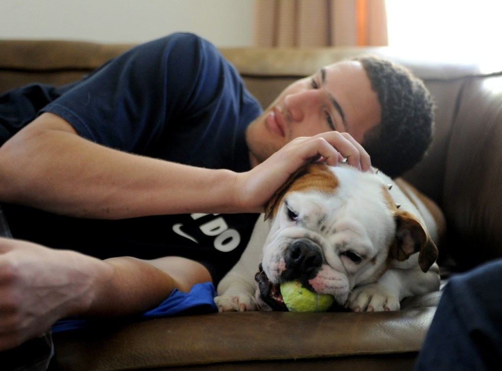 Rocco, former Warriors guard Klay Thompson's beloved bulldog, dies - The Mercury News