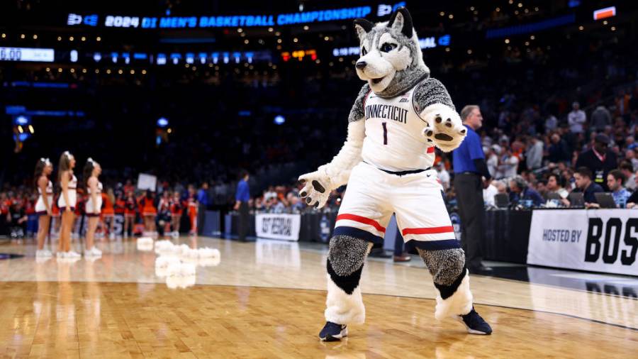 BYU Basketball, UConn Huskies, Nonconference, Mascot...