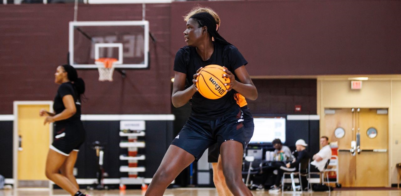 Atlanta Dream guard Te-Hina Paopao (2) drives on Indiana Fever guard Caitlin Clark (22) in the first half at State Farm Arena. Mandatory Credit: Brett Davis-Imagn Images