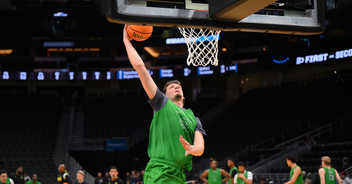 university of oregon ducks basketball nate bittle