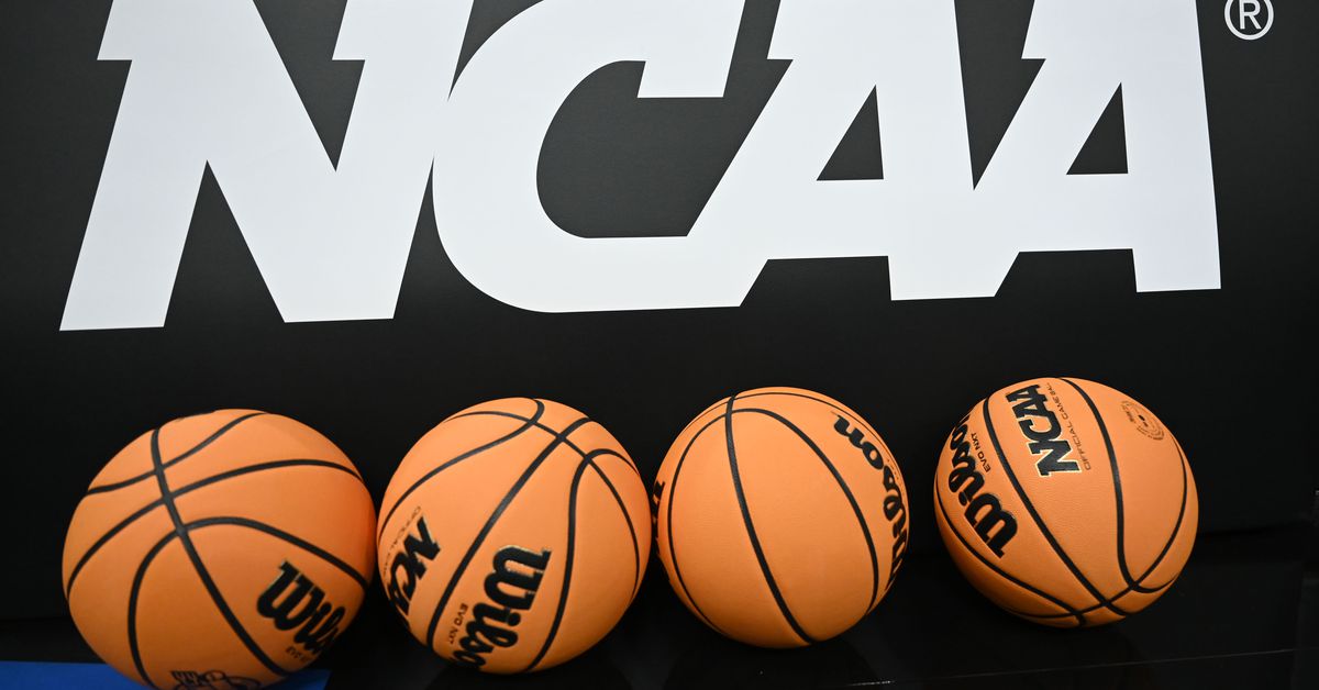 The transfer portal: A land of contrasts