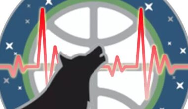 Survey: Canis Pulsus Vol. 42 - Memories Edition Results