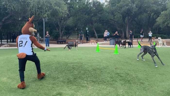 San Antonio Spurs, PetMeds hosts free ‘Paws in the Park’ event