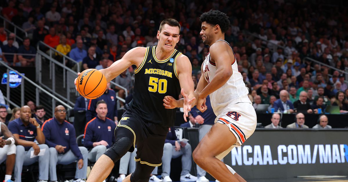 2025 NBA Draft Profile: Michigan Basketball C Vlad Goldin