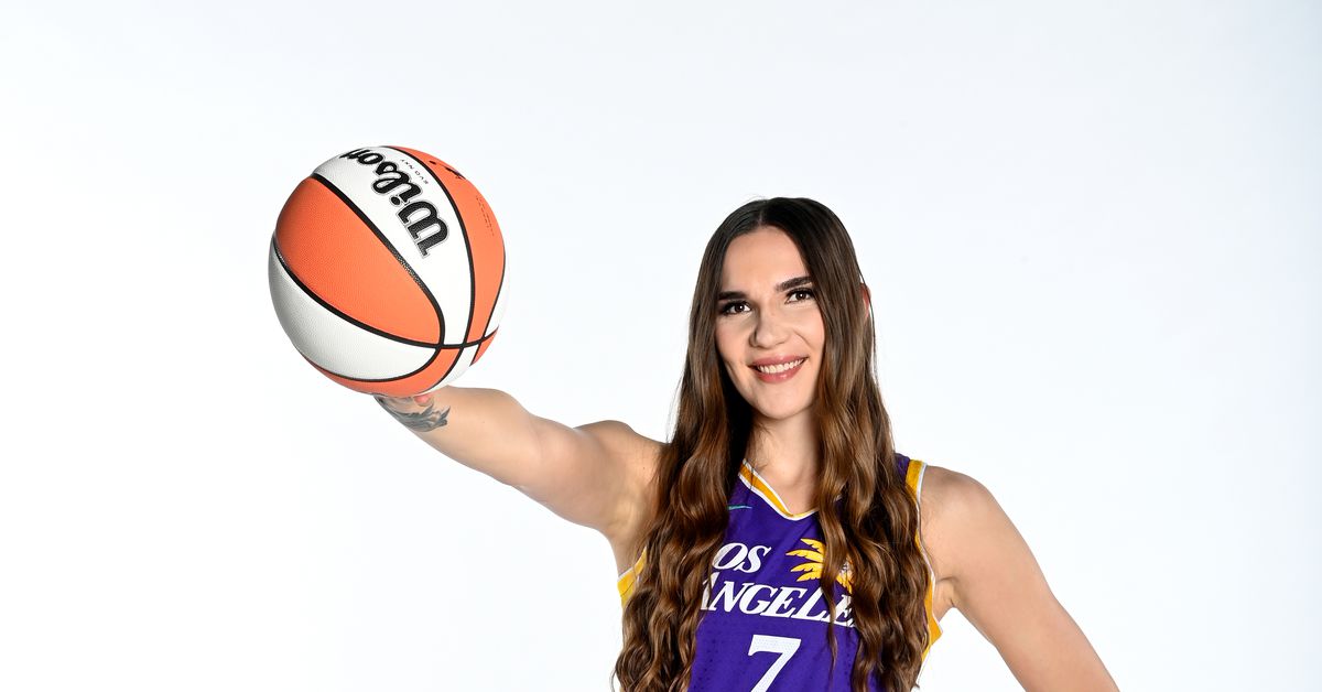 One of the WNBA’s undefeated teams just added another elite center
